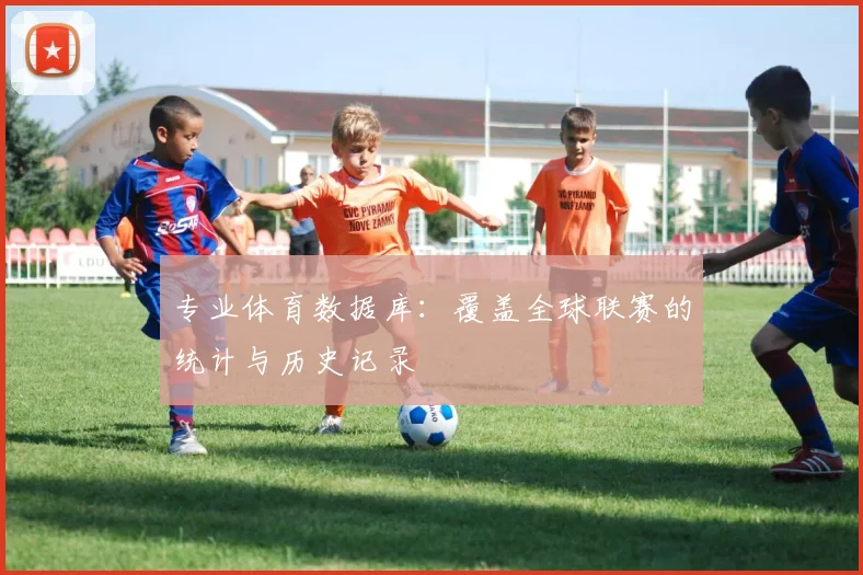 专业体育数据库：覆盖全球联赛的统计与历史记录