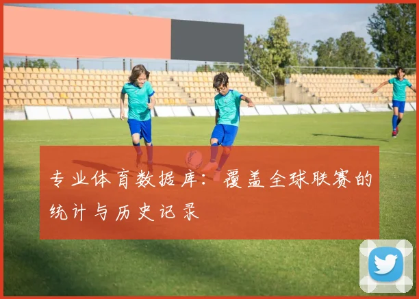 专业体育数据库：覆盖全球联赛的统计与历史记录